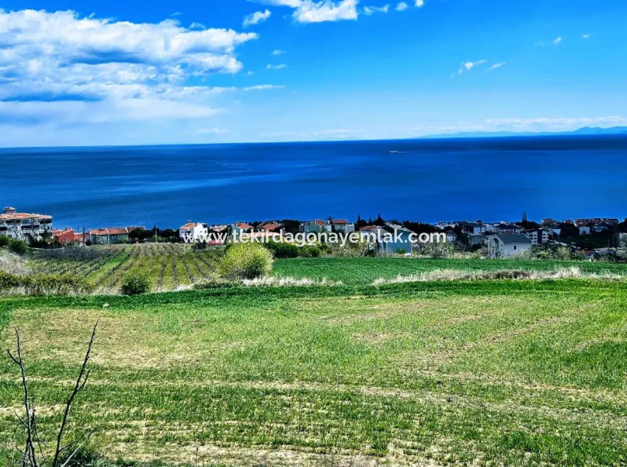 Full Sea And Nature Landscape Infrastructure Ready Luxury 45 Flats Cooperative And Coupon Land Suitable For Site Construction