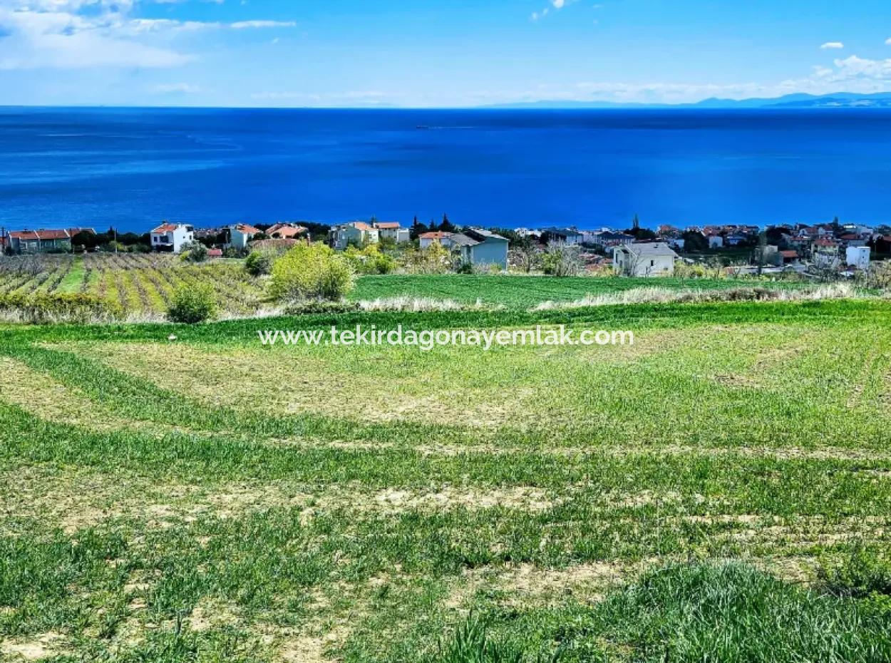 Full Sea And Nature Landscape Infrastructure Ready Luxury 45 Flats Cooperative And Coupon Land Suitable For Site Construction