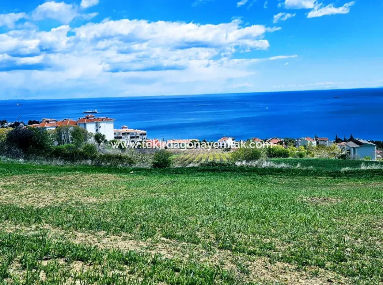 Full Sea And Nature Landscape Infrastructure Ready Luxury 45 Flats Cooperative And Coupon Land Suitable For Site Construction