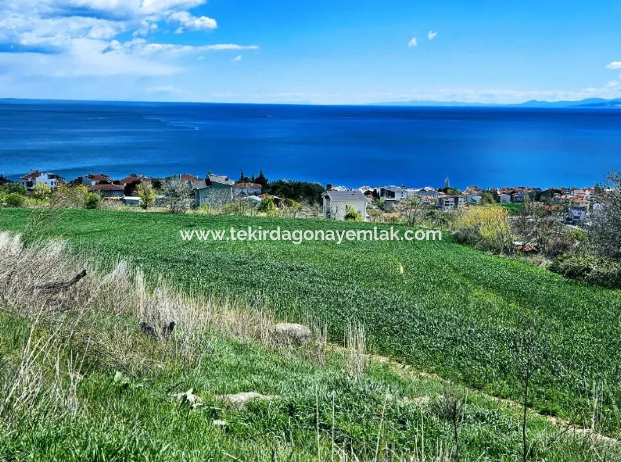 Full Sea And Nature Landscape Infrastructure Ready Luxury 45 Flats Cooperative And Coupon Land Suitable For Site Construction