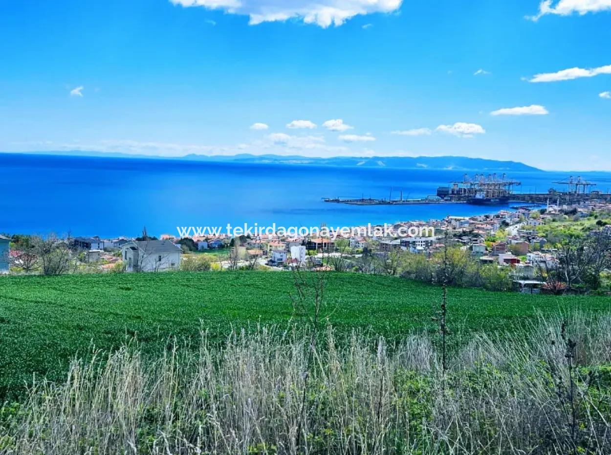 Full Sea And Nature Landscape Infrastructure Ready Luxury 45 Flats Cooperative And Coupon Land Suitable For Site Construction