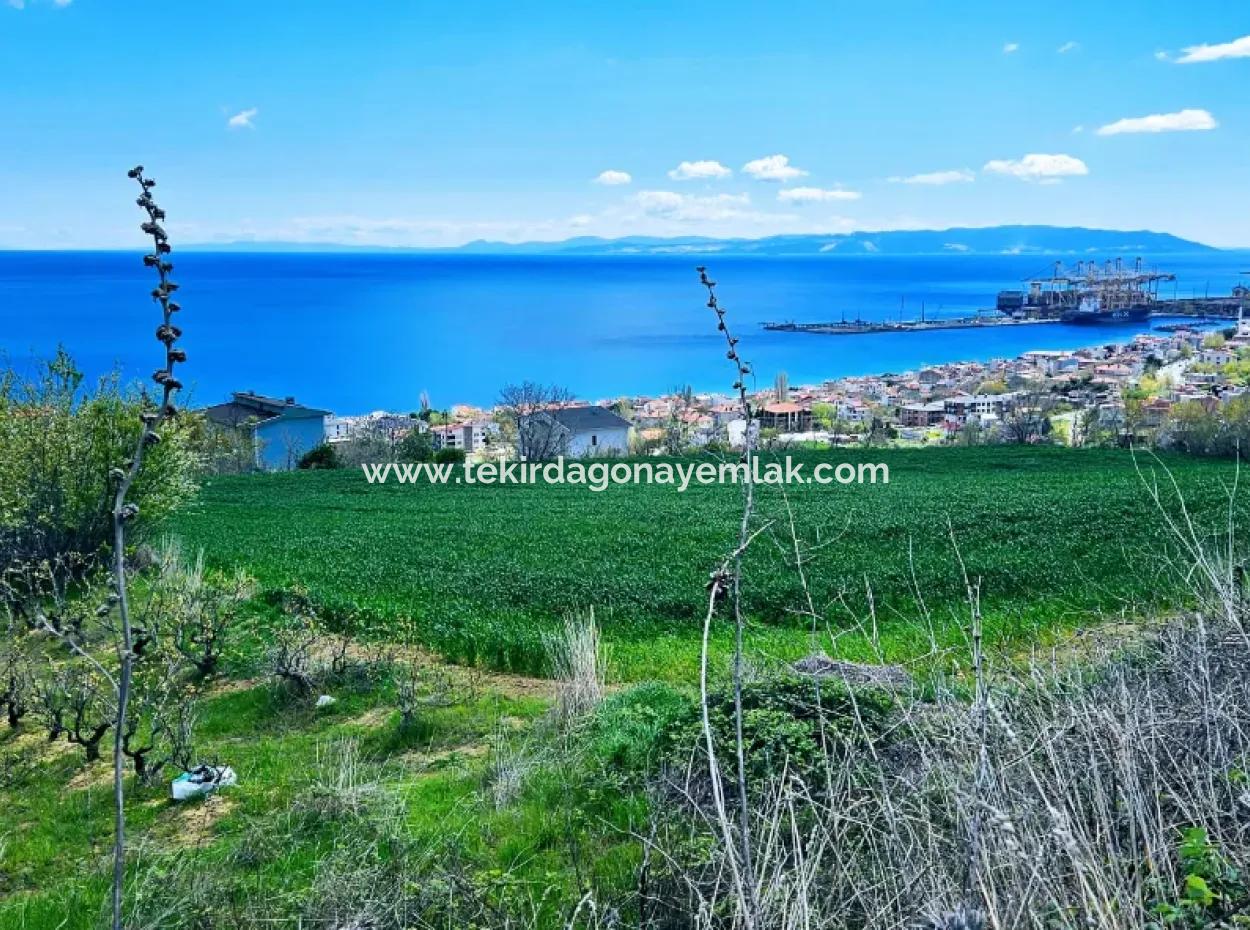 Full Sea And Nature Landscape Infrastructure Ready Luxury 45 Flats Cooperative And Coupon Land Suitable For Site Construction