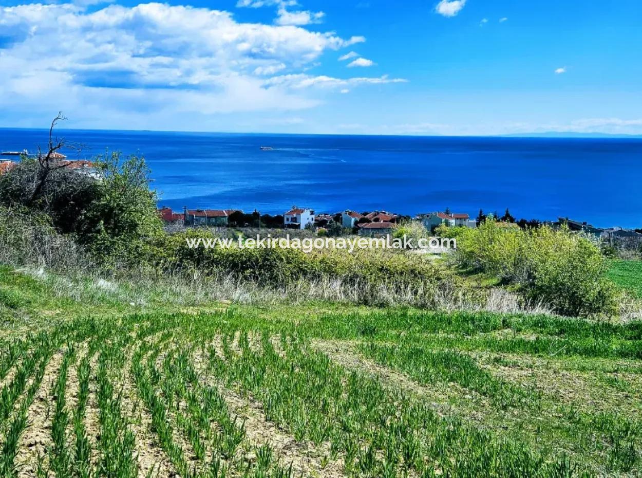 Full Sea And Nature Landscape Infrastructure Ready Luxury 45 Flats Cooperative And Coupon Land Suitable For Site Construction