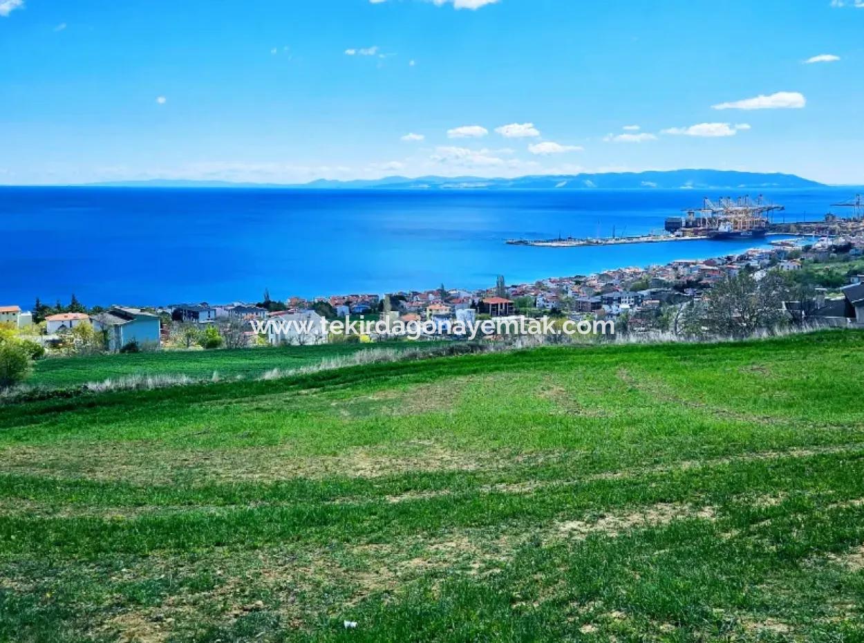 Full Sea And Nature Landscape Infrastructure Ready Luxury 45 Flats Cooperative And Coupon Land Suitable For Site Construction