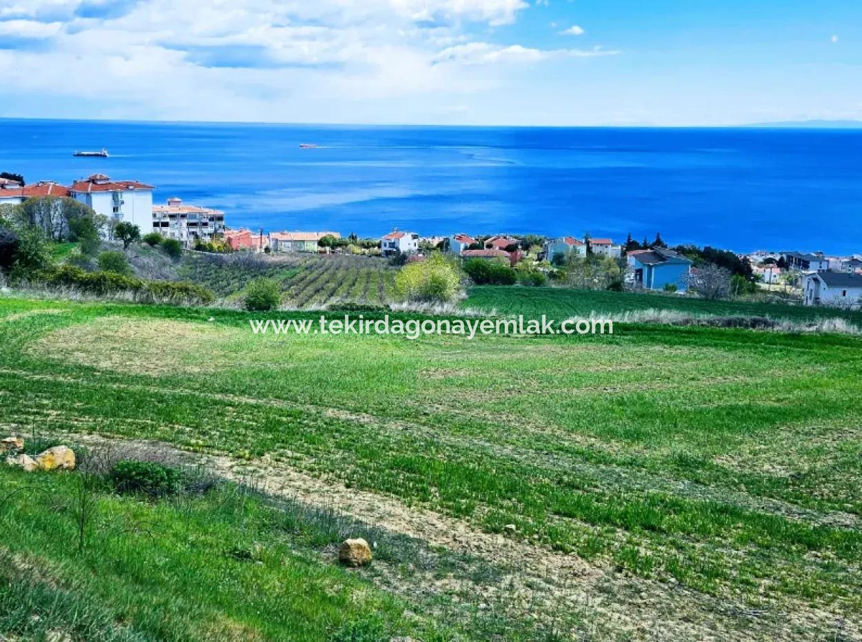 Full Sea And Nature Landscape Infrastructure Ready Luxury 45 Flats Cooperative And Coupon Land Suitable For Site Construction