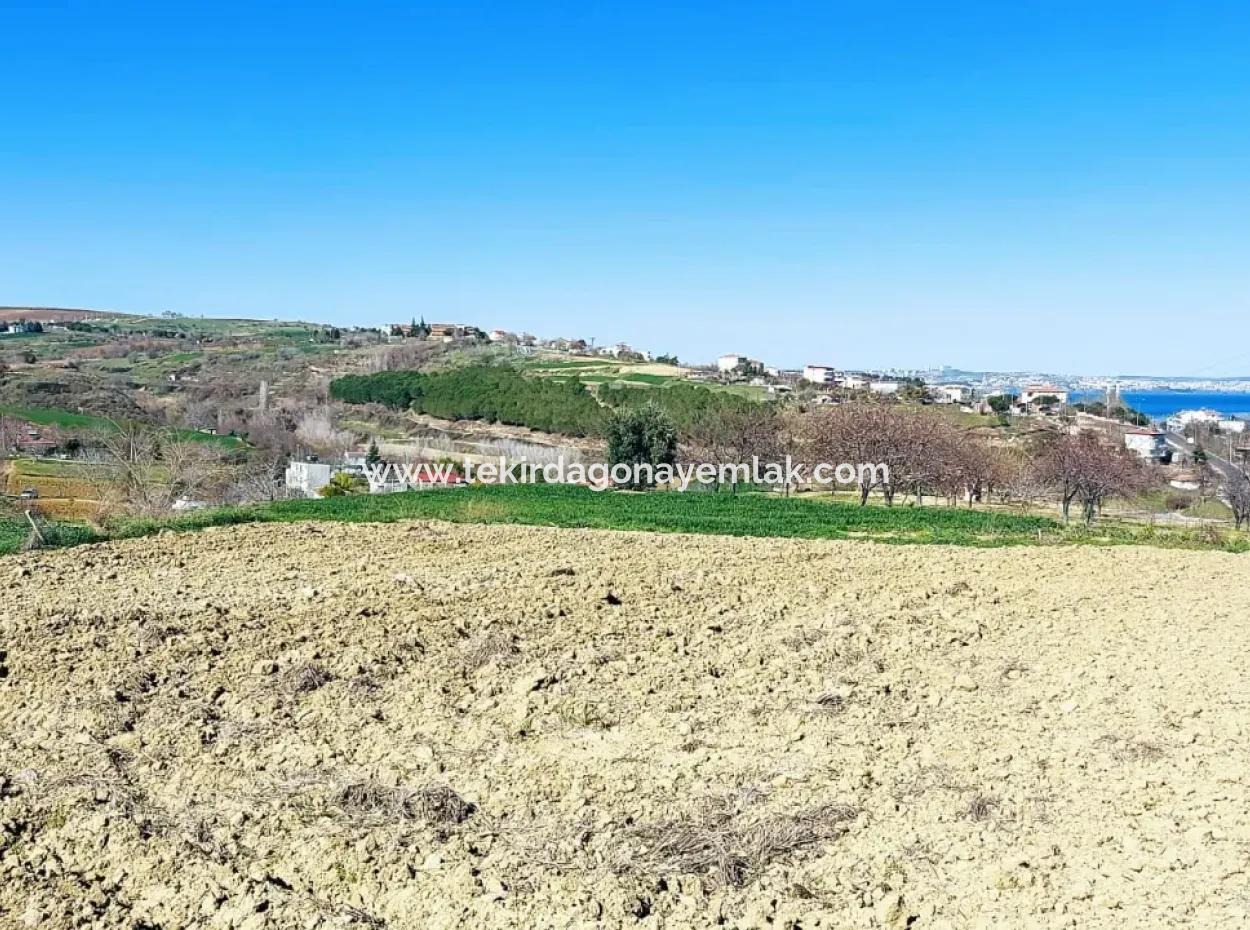 Investment Opportunity: 615 M2 Corner Land For Sale In Tekirdag Barbaros - Urgent Sale, Sea And Nature View, 0 Zoned