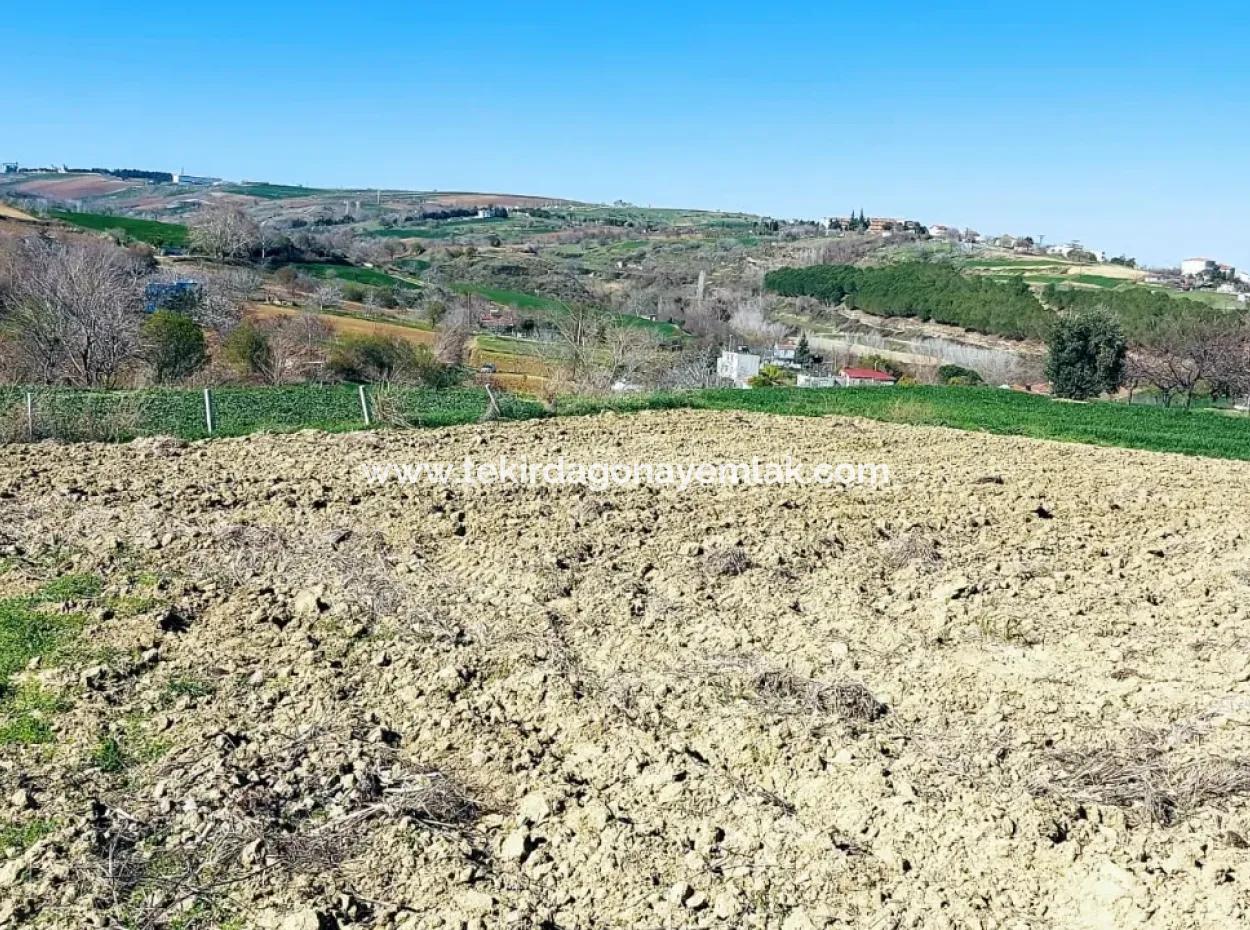 Investment Opportunity: 615 M2 Corner Land For Sale In Tekirdag Barbaros - Urgent Sale, Sea And Nature View, 0 Zoned
