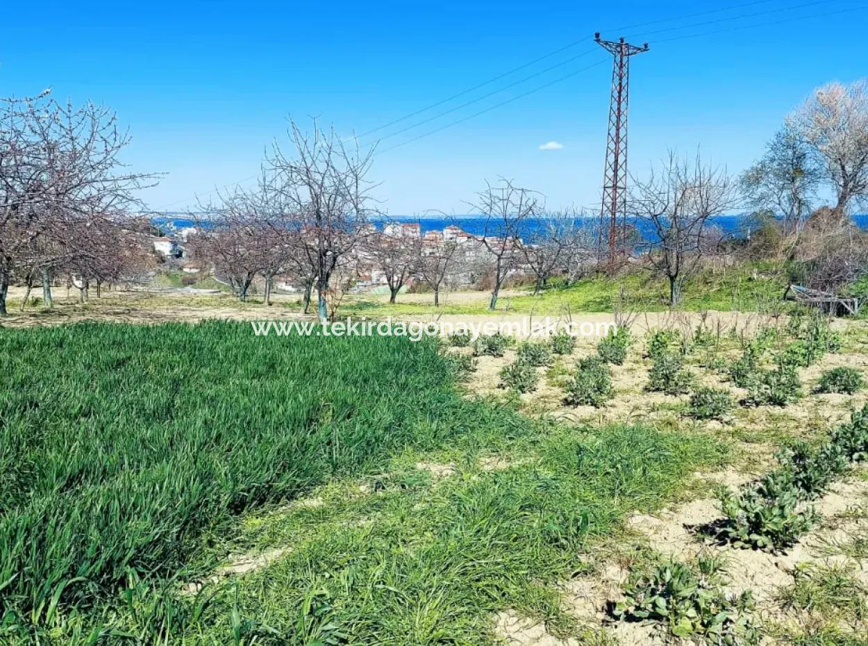 Investment Opportunity: 615 M2 Corner Land For Sale In Tekirdag Barbaros - Urgent Sale, Sea And Nature View, 0 Zoned