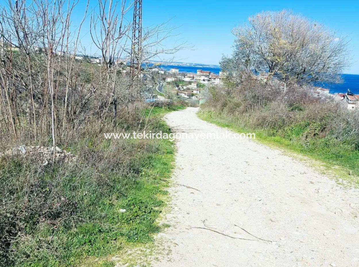Investment Opportunity: 615 M2 Corner Land For Sale In Tekirdag Barbaros - Urgent Sale, Sea And Nature View, 0 Zoned