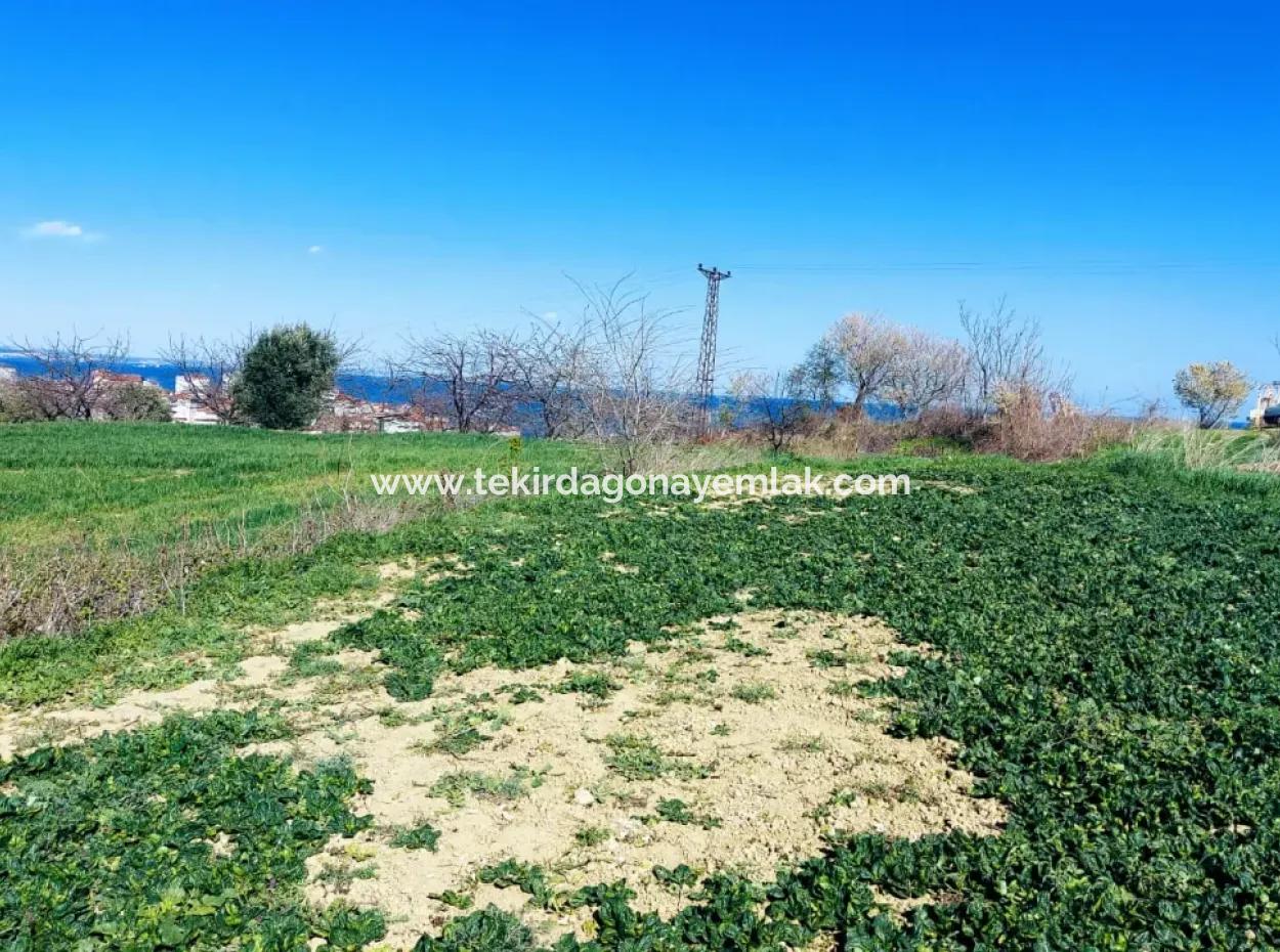 Investment Opportunity: 615 M2 Corner Land For Sale In Tekirdag Barbaros - Urgent Sale, Sea And Nature View, 0 Zoned