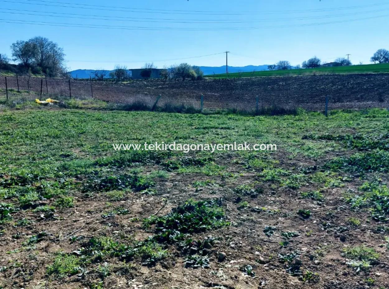 Investment Opportunity: 615 M2 Corner Land For Sale In Tekirdag Barbaros - Urgent Sale, Sea And Nature View, 0 Zoned
