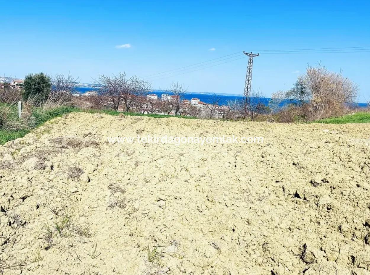 Investment Opportunity: 615 M2 Corner Land For Sale In Tekirdag Barbaros - Urgent Sale, Sea And Nature View, 0 Zoned