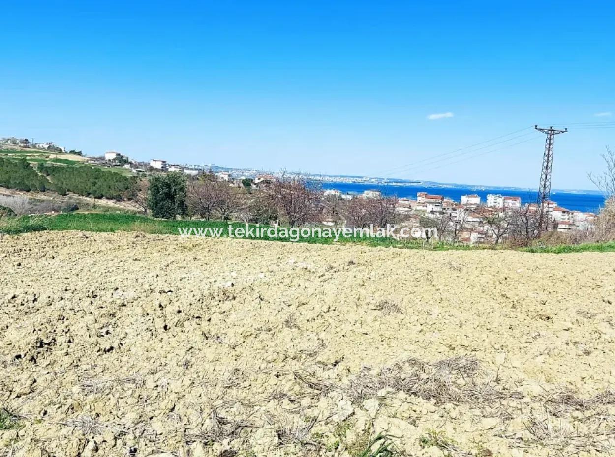 Investment Opportunity: 615 M2 Corner Land For Sale In Tekirdag Barbaros - Urgent Sale, Sea And Nature View, 0 Zoned