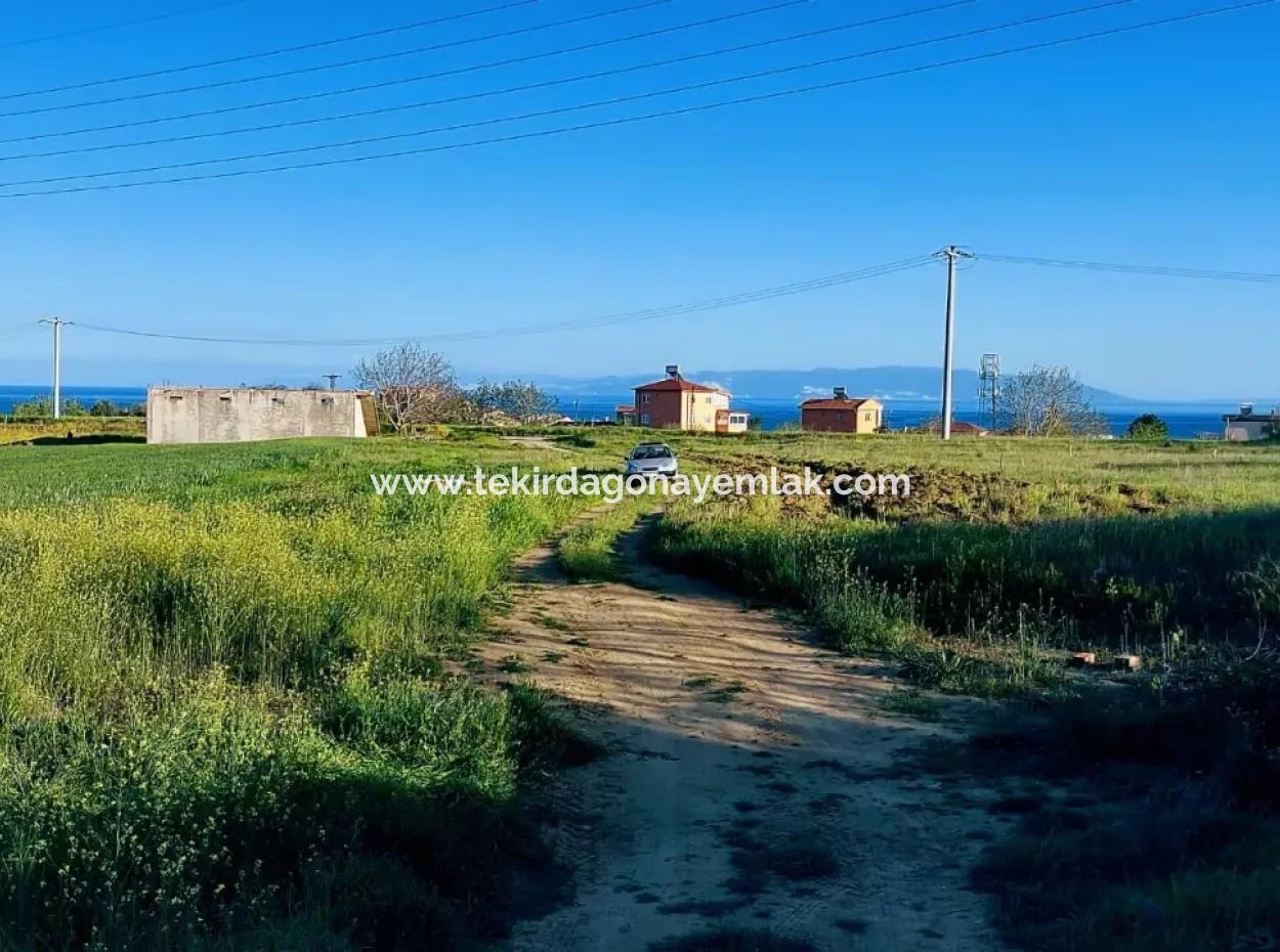 Investment Opportunity: 615 M2 Corner Land For Sale In Tekirdag Barbaros - Urgent Sale, Sea And Nature View, 0 Zoned