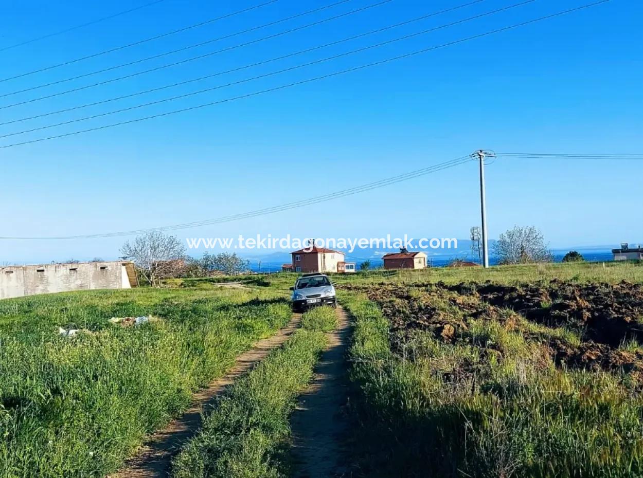 Investment Opportunity: 615 M2 Corner Land For Sale In Tekirdag Barbaros - Urgent Sale, Sea And Nature View, 0 Zoned