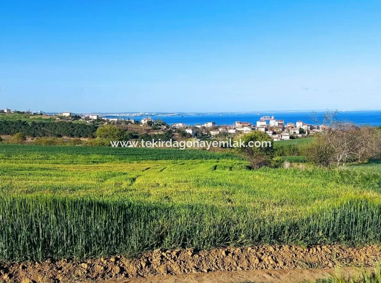 Investment Opportunity: 615 M2 Corner Land For Sale In Tekirdag Barbaros - Urgent Sale, Sea And Nature View, 0 Zoned