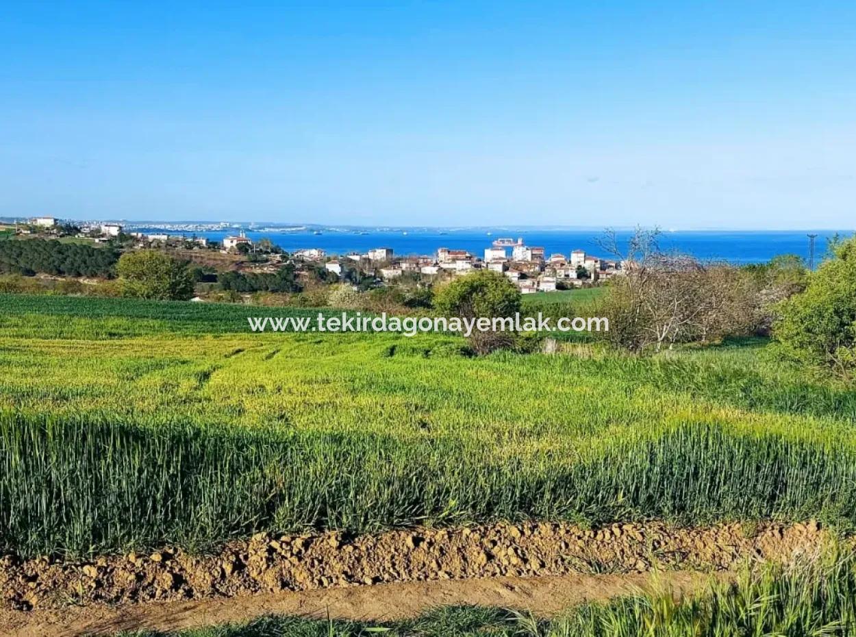 Investment Opportunity: 615 M2 Corner Land For Sale In Tekirdag Barbaros - Urgent Sale, Sea And Nature View, 0 Zoned