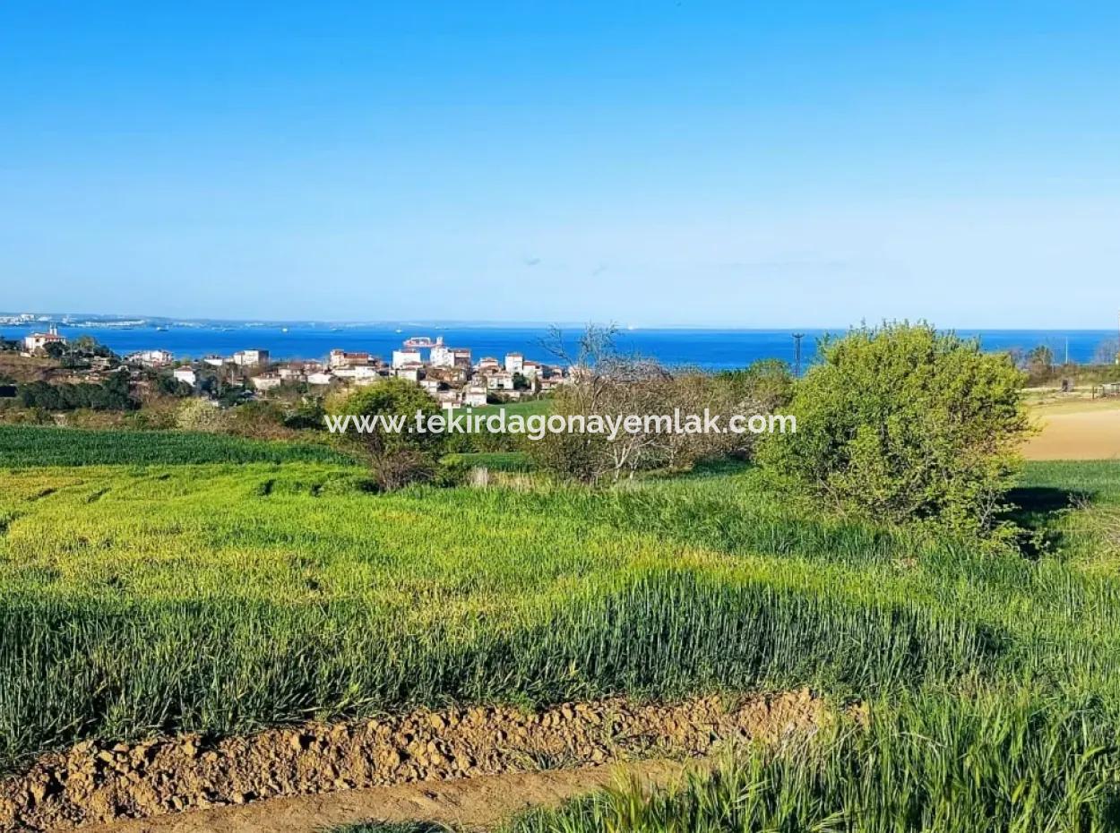 Investment Opportunity: 615 M2 Corner Land For Sale In Tekirdag Barbaros - Urgent Sale, Sea And Nature View, 0 Zoned