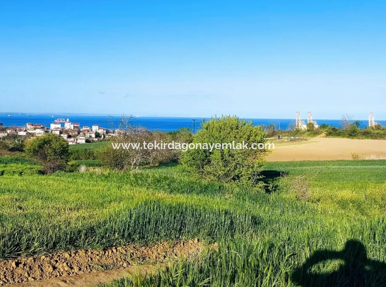 Investment Opportunity: 615 M2 Corner Land For Sale In Tekirdag Barbaros - Urgent Sale, Sea And Nature View, 0 Zoned
