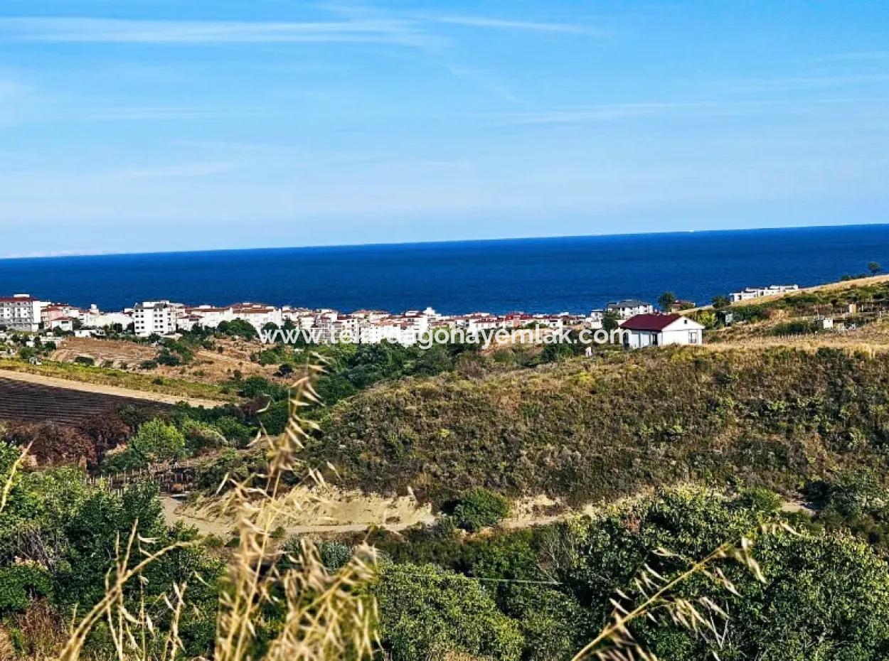 1,150 Sqm Plot Close To Ramada Hotel In Tekirdag Suleymanpasa Barbaros - Topagac