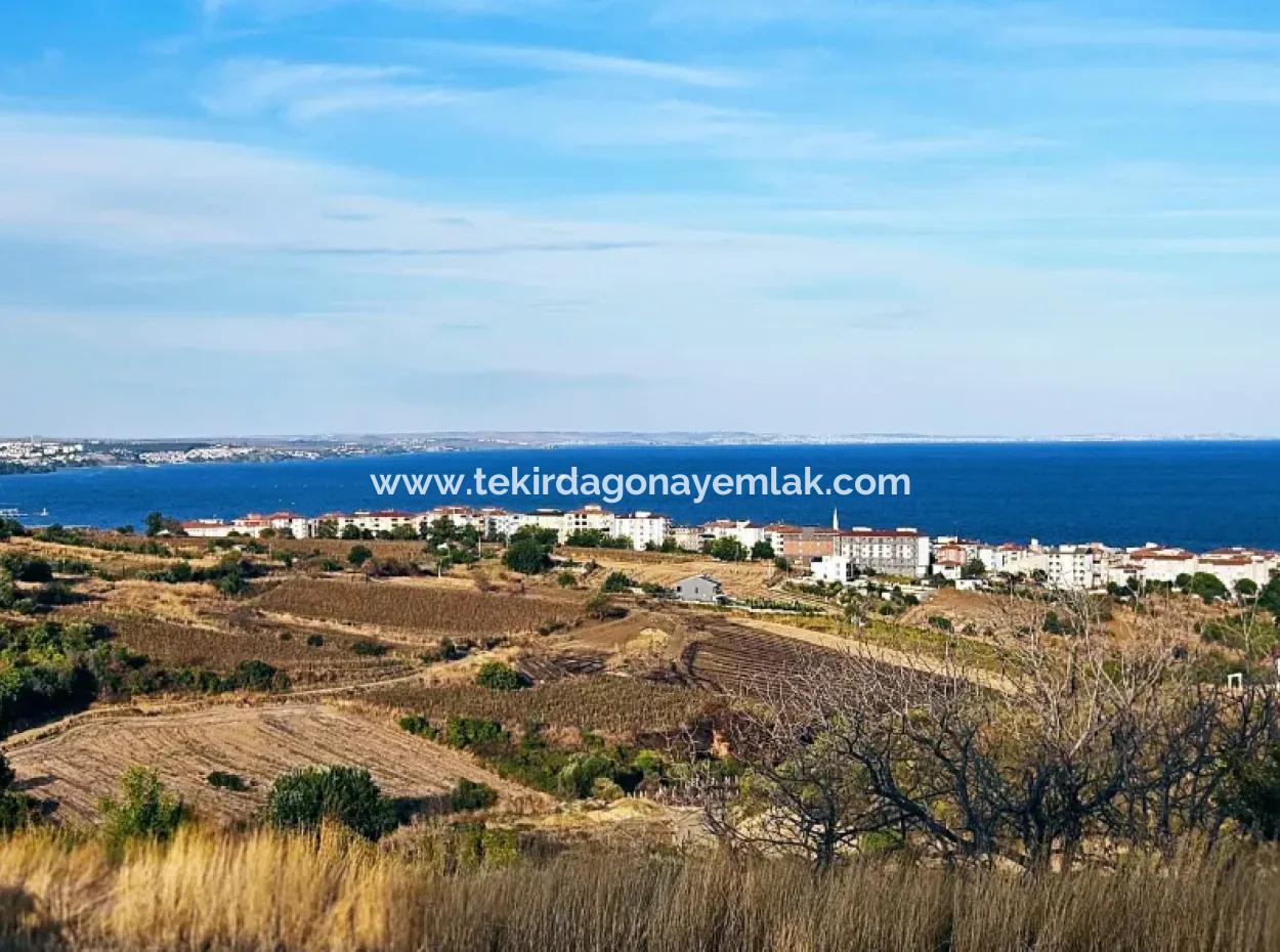 1,150 Sqm Plot Close To Ramada Hotel In Tekirdag Suleymanpasa Barbaros - Topagac