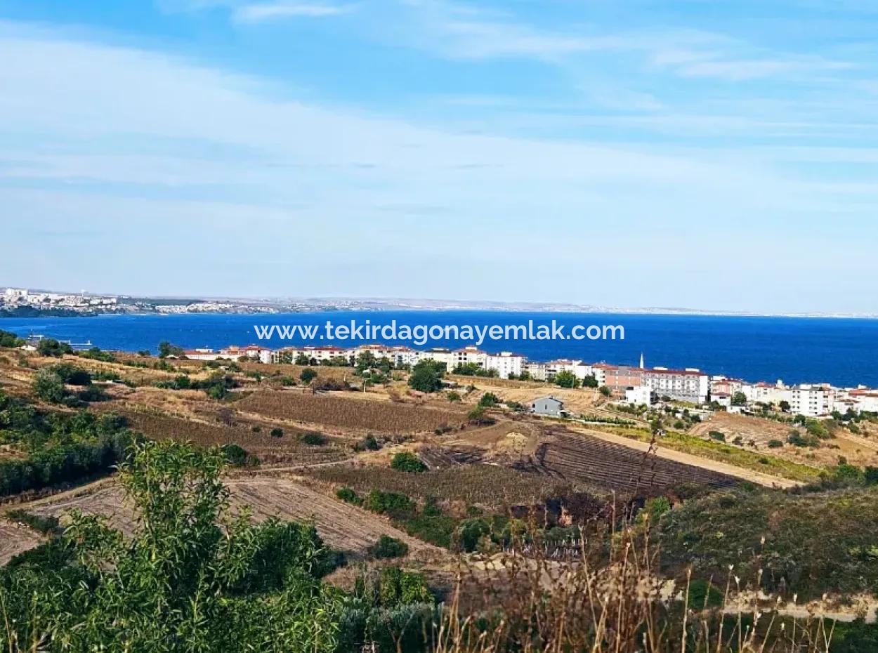 1,150 Sqm Plot Close To Ramada Hotel In Tekirdag Suleymanpasa Barbaros - Topagac
