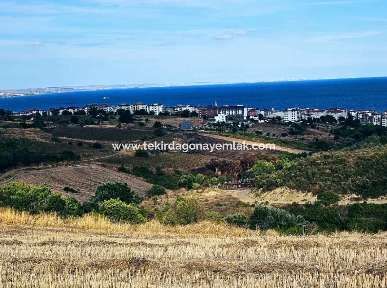 1,150 Sqm Plot Close To Ramada Hotel In Tekirdag Suleymanpasa Barbaros - Topagac