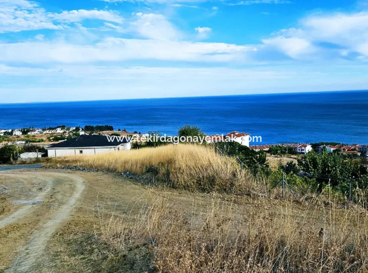 Coupon Land For Urgent Sale Suitable For Building Your Detached House With Wonderful Sea View In Tekirdag Barbarosta