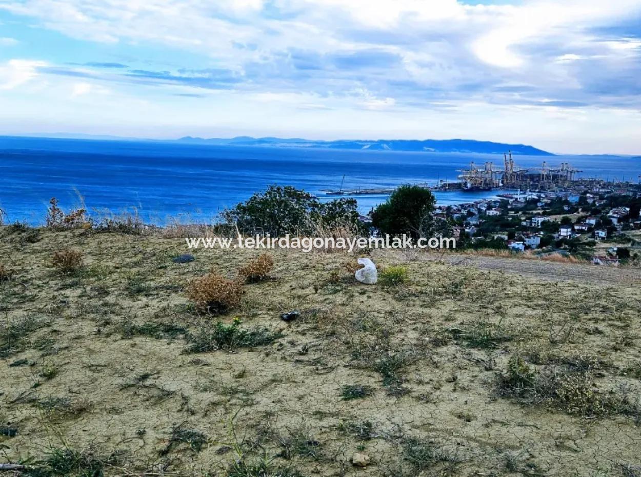Coupon Land For Urgent Sale Suitable For Building Your Detached House With Wonderful Sea View In Tekirdag Barbarosta