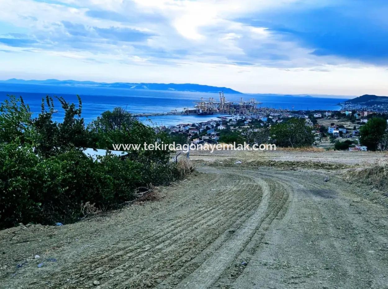 Coupon Land For Urgent Sale Suitable For Building Your Detached House With Wonderful Sea View In Tekirdag Barbarosta
