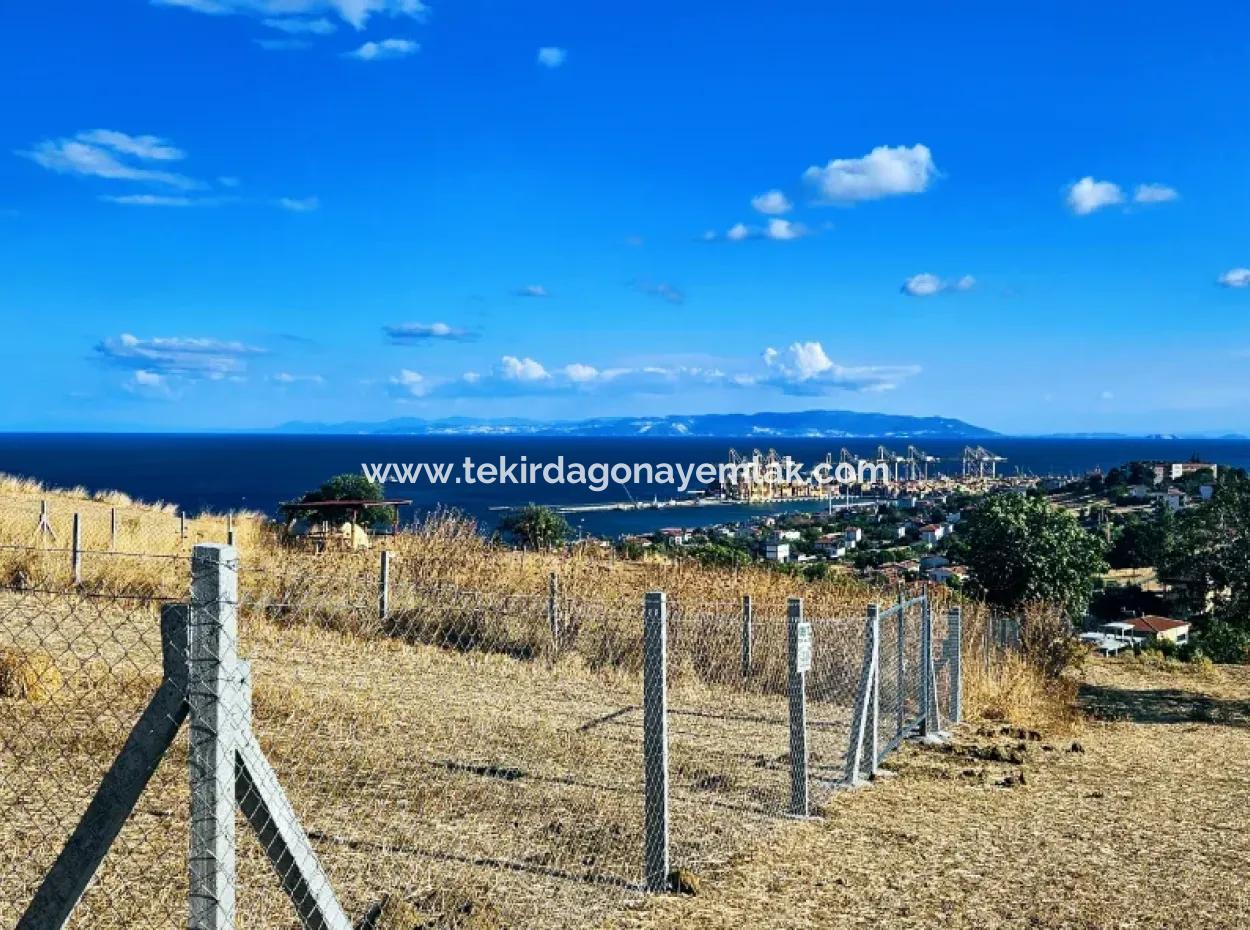 Full Sea View Swap Cash 765 M2 Opportunity Coupon Plot For Urgent Sale
