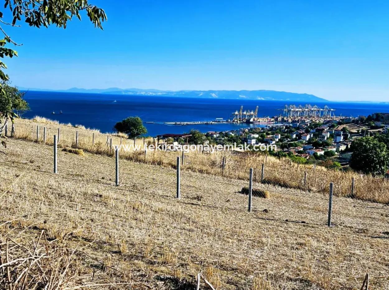 Full Sea View Swap Cash 765 M2 Opportunity Coupon Plot For Urgent Sale