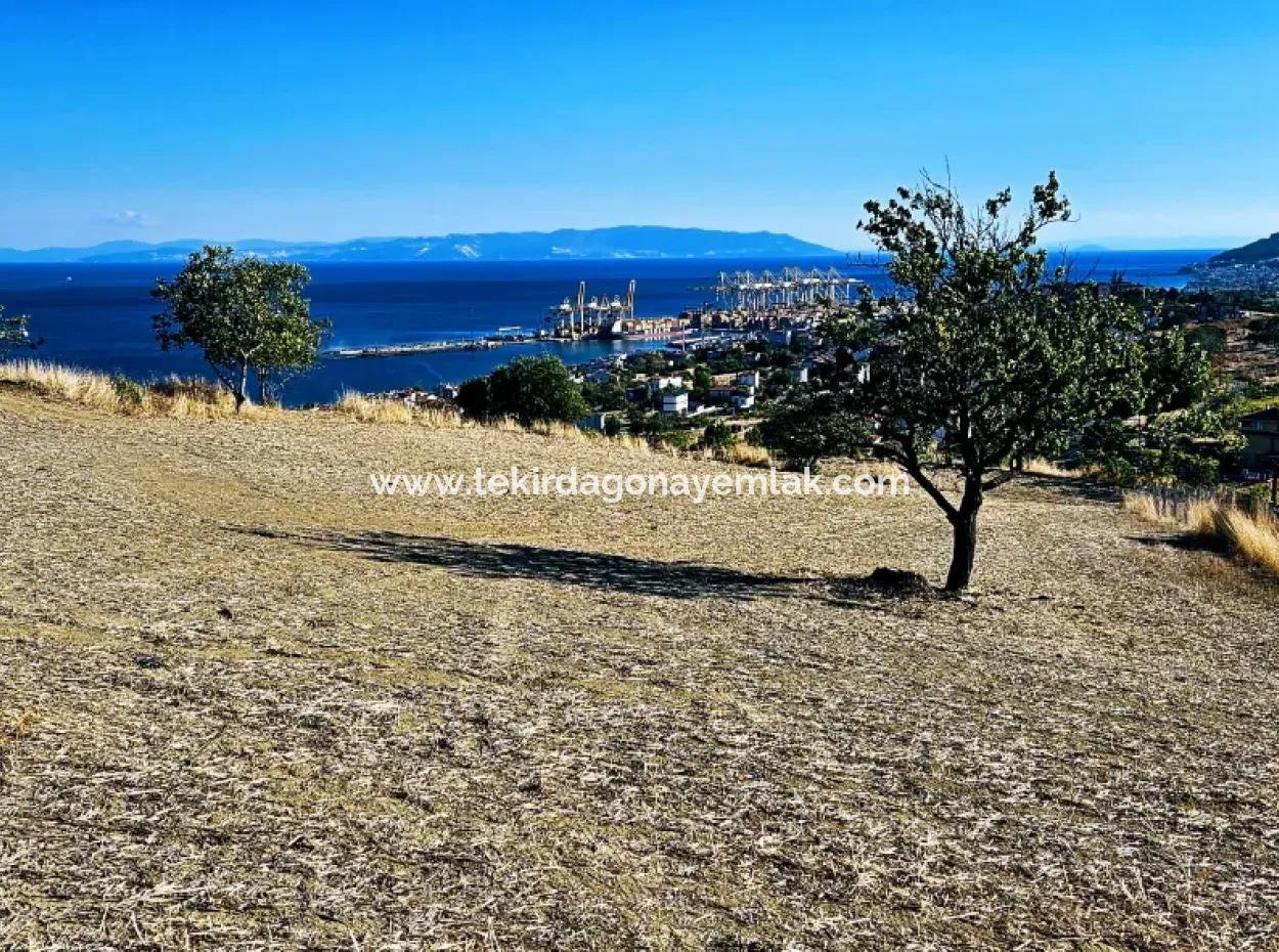 Full Sea View Swap Cash 765 M2 Opportunity Coupon Plot For Urgent Sale