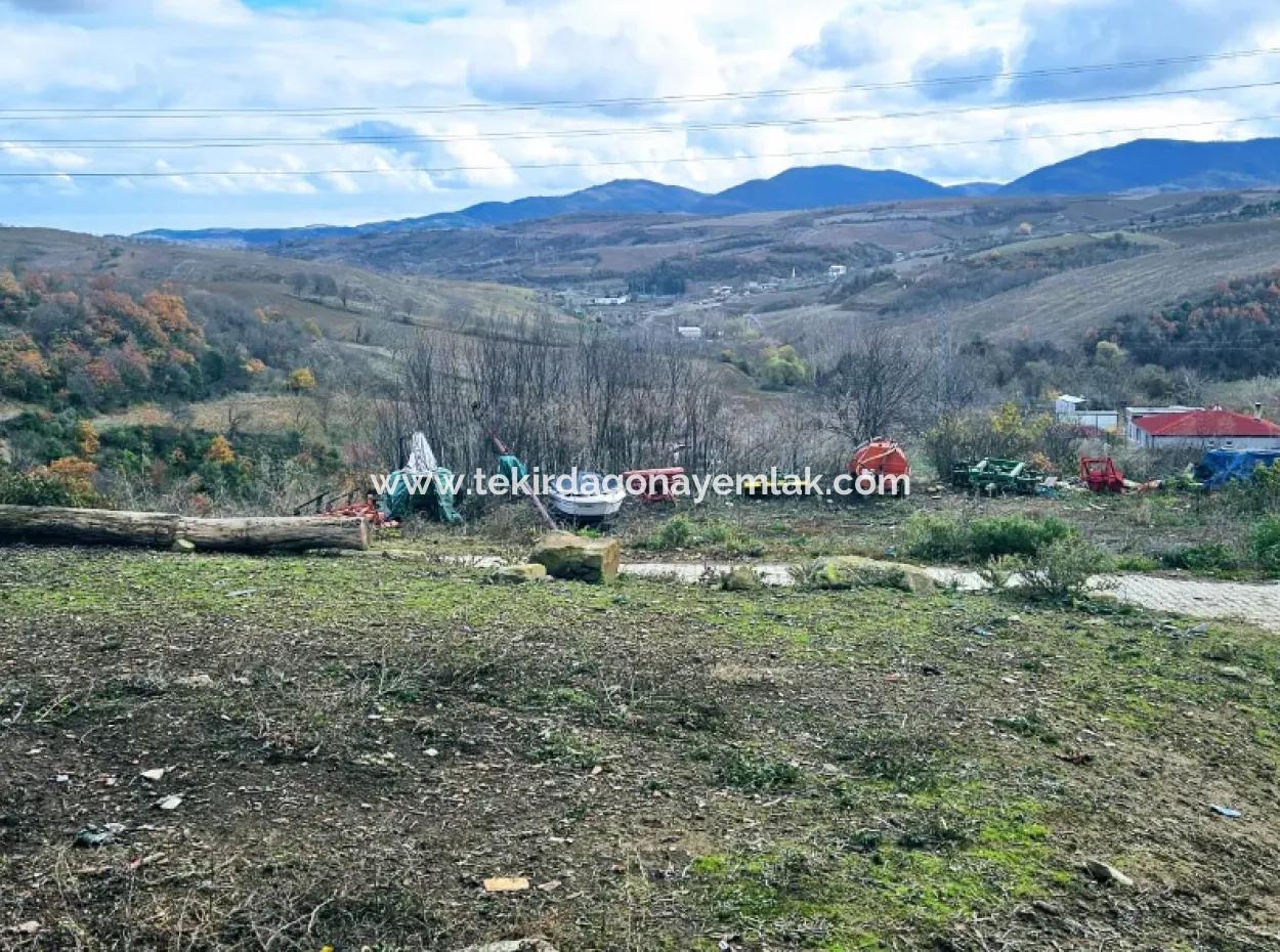 Opportunity Corner Land For Enthusiasts Who Want To Build A Village House For Urgent Sale
