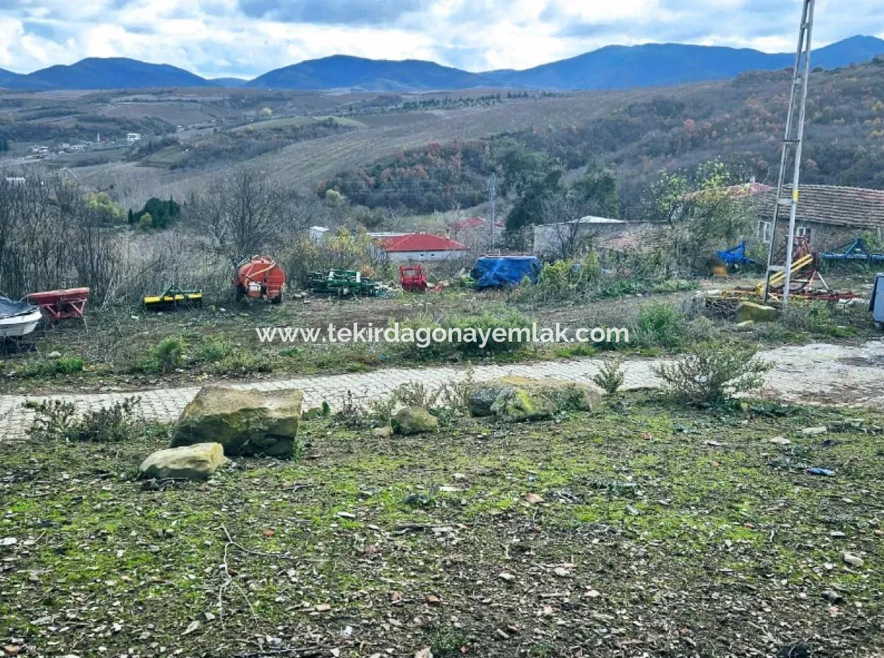 Opportunity Corner Land For Enthusiasts Who Want To Build A Village House For Urgent Sale