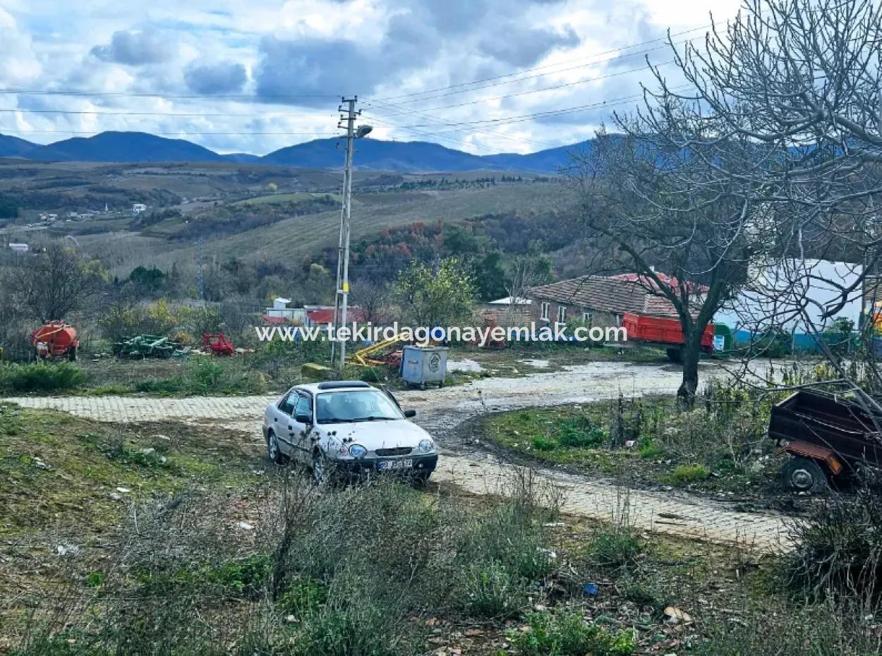 Opportunity Corner Land For Enthusiasts Who Want To Build A Village House For Urgent Sale