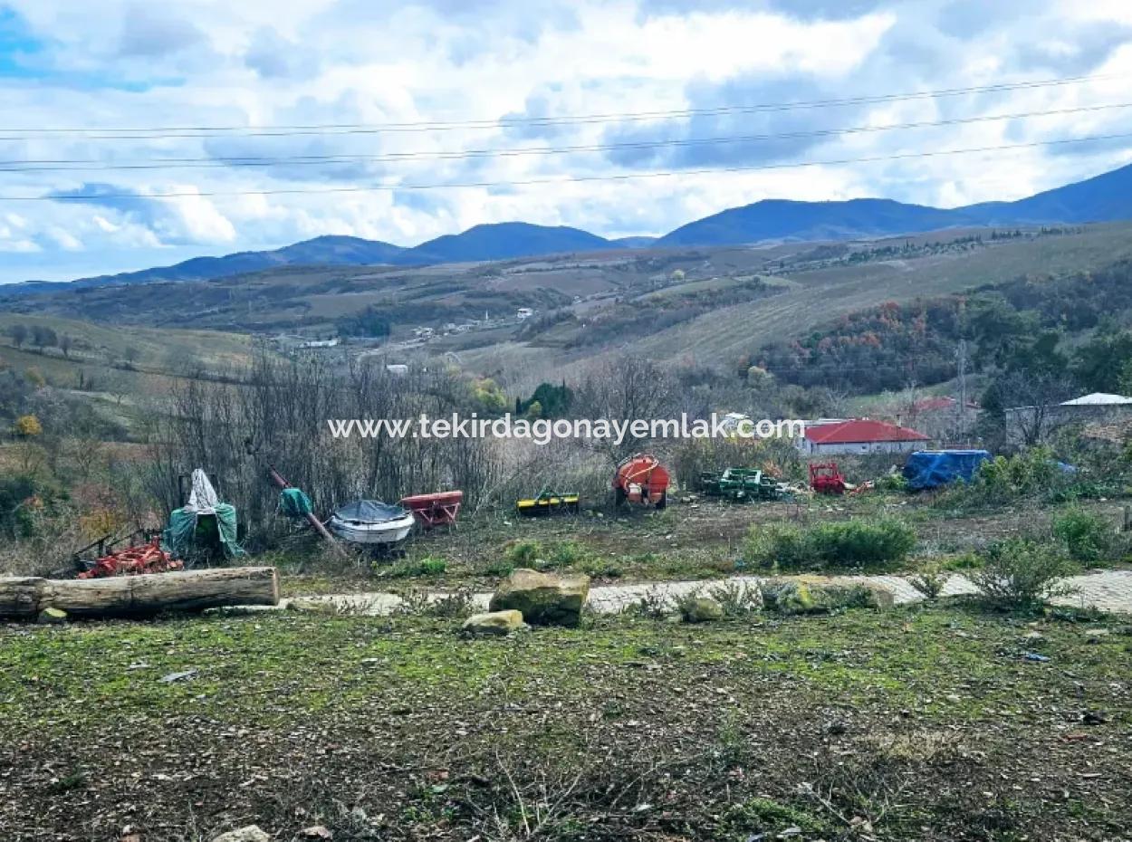 Opportunity Corner Land For Enthusiasts Who Want To Build A Village House For Urgent Sale