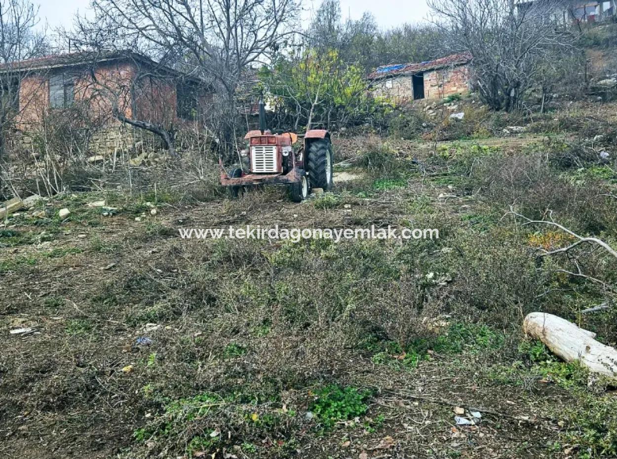 Opportunity Corner Land For Enthusiasts Who Want To Build A Village House For Urgent Sale