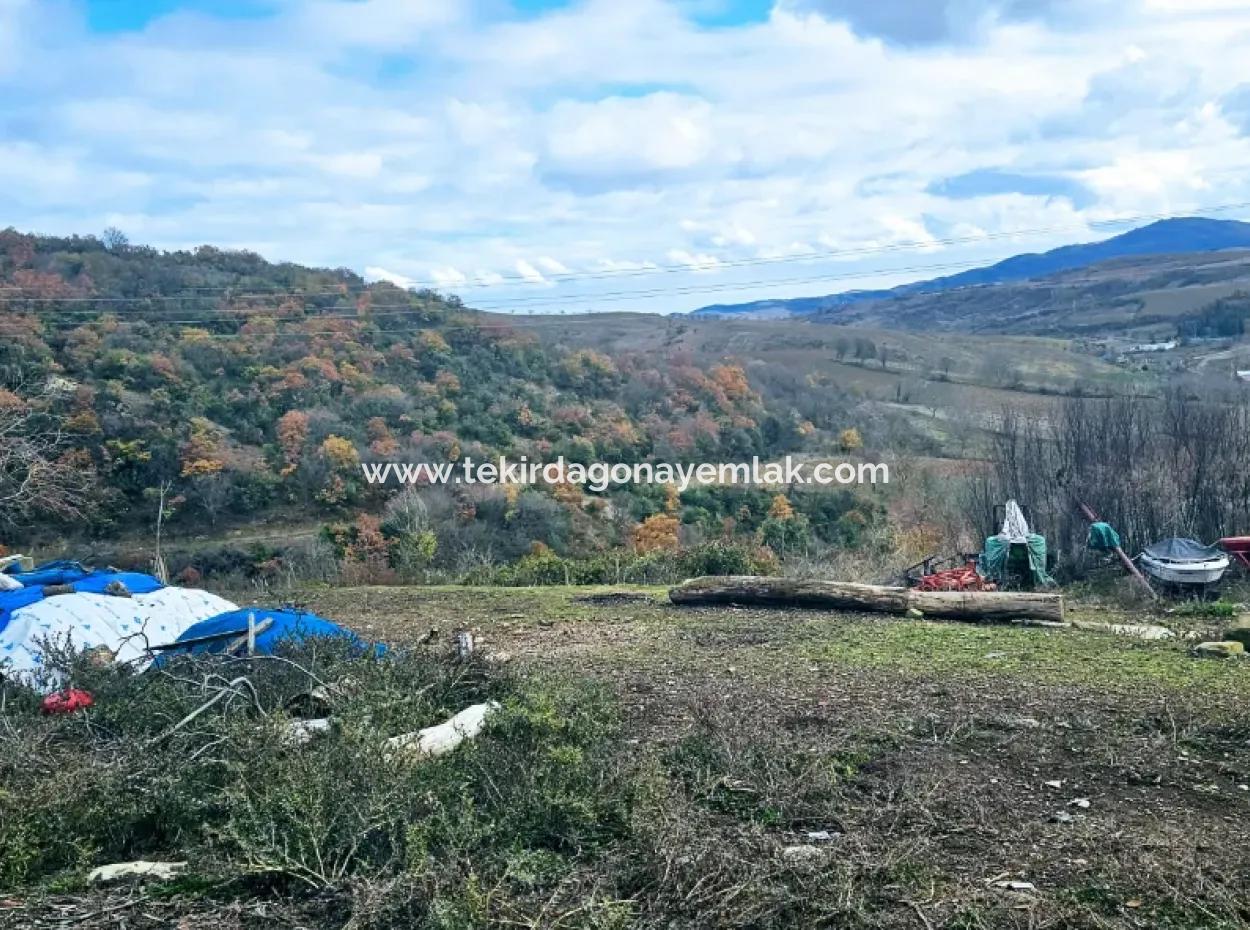 Opportunity Corner Land For Enthusiasts Who Want To Build A Village House For Urgent Sale