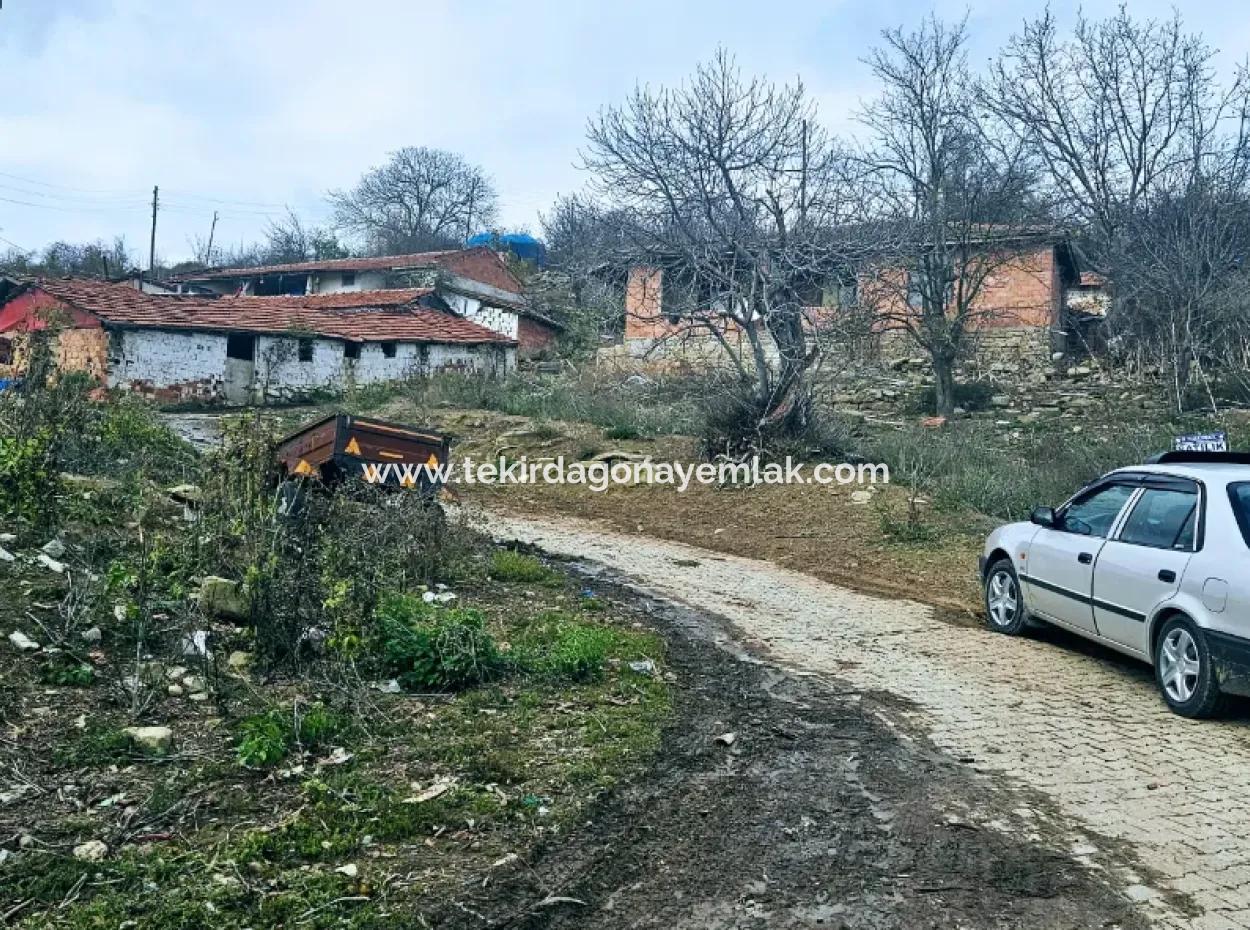 Opportunity Corner Land For Enthusiasts Who Want To Build A Village House For Urgent Sale