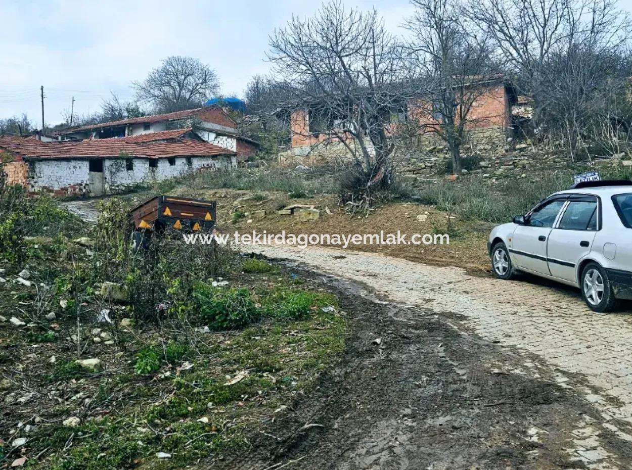 Opportunity Corner Land For Enthusiasts Who Want To Build A Village House For Urgent Sale