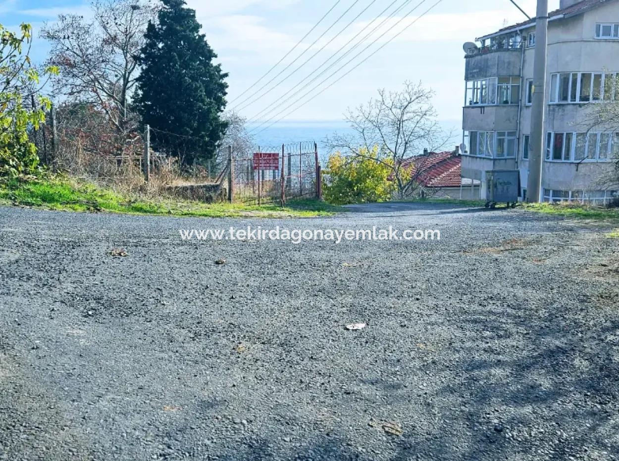 2 Plots Of Land For Urgent Sale 2 Detached Houses Suitable For Building Coupon Land