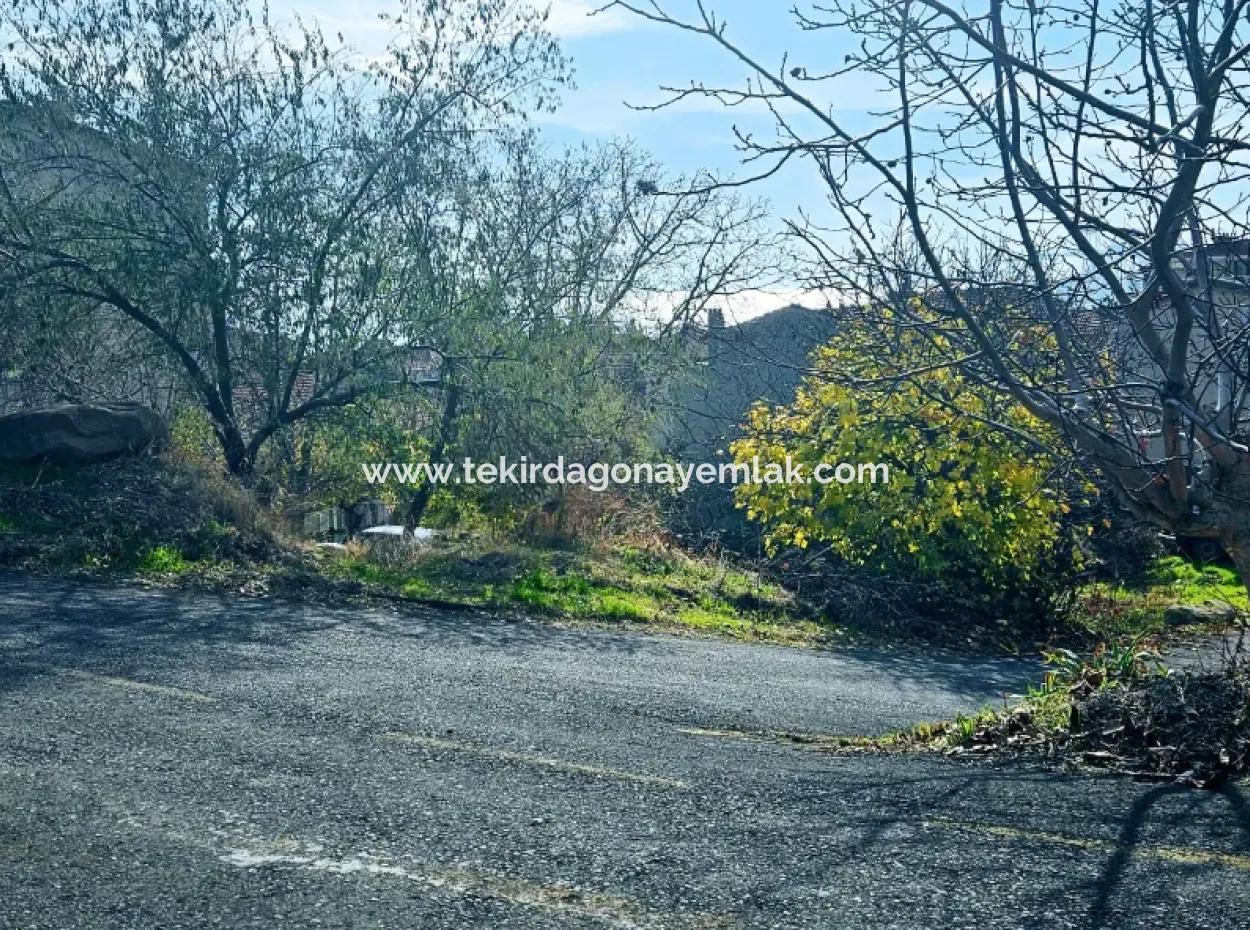 2 Plots Of Land For Urgent Sale 2 Detached Houses Suitable For Building Coupon Land