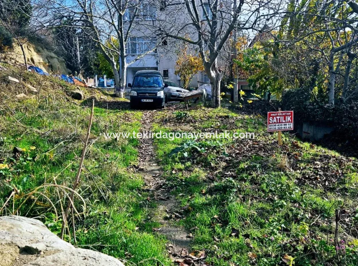 2 Plots Of Land For Urgent Sale 2 Detached Houses Suitable For Building Coupon Land