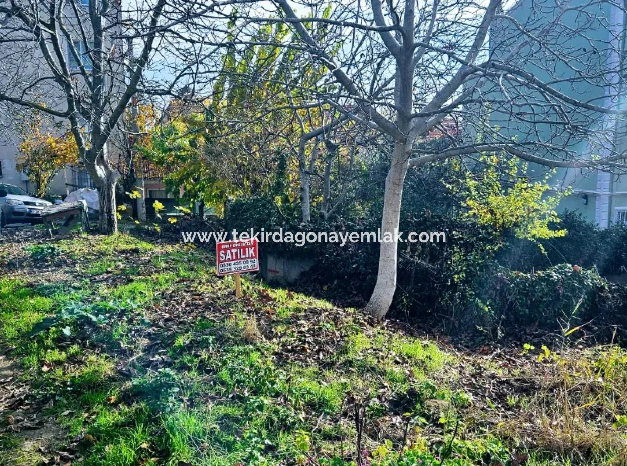 2 Plots Of Land For Urgent Sale 2 Detached Houses Suitable For Building Coupon Land