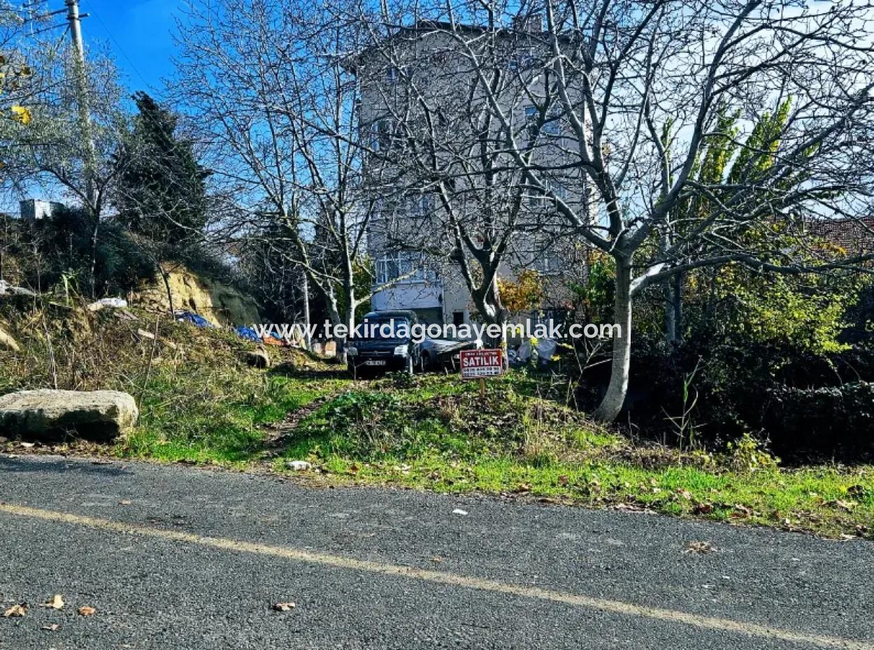 2 Plots Of Land For Urgent Sale 2 Detached Houses Suitable For Building Coupon Land