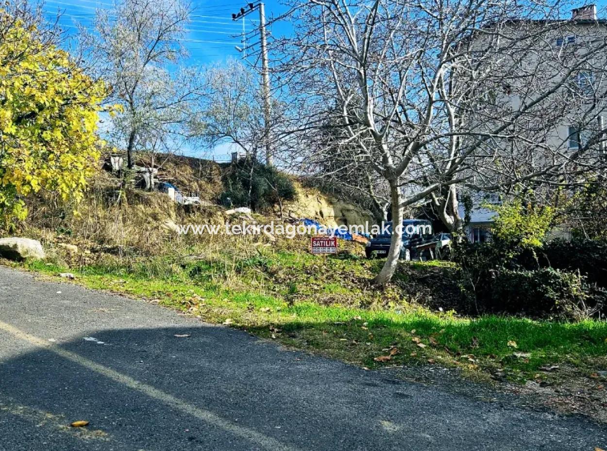 2 Plots Of Land For Urgent Sale 2 Detached Houses Suitable For Building Coupon Land