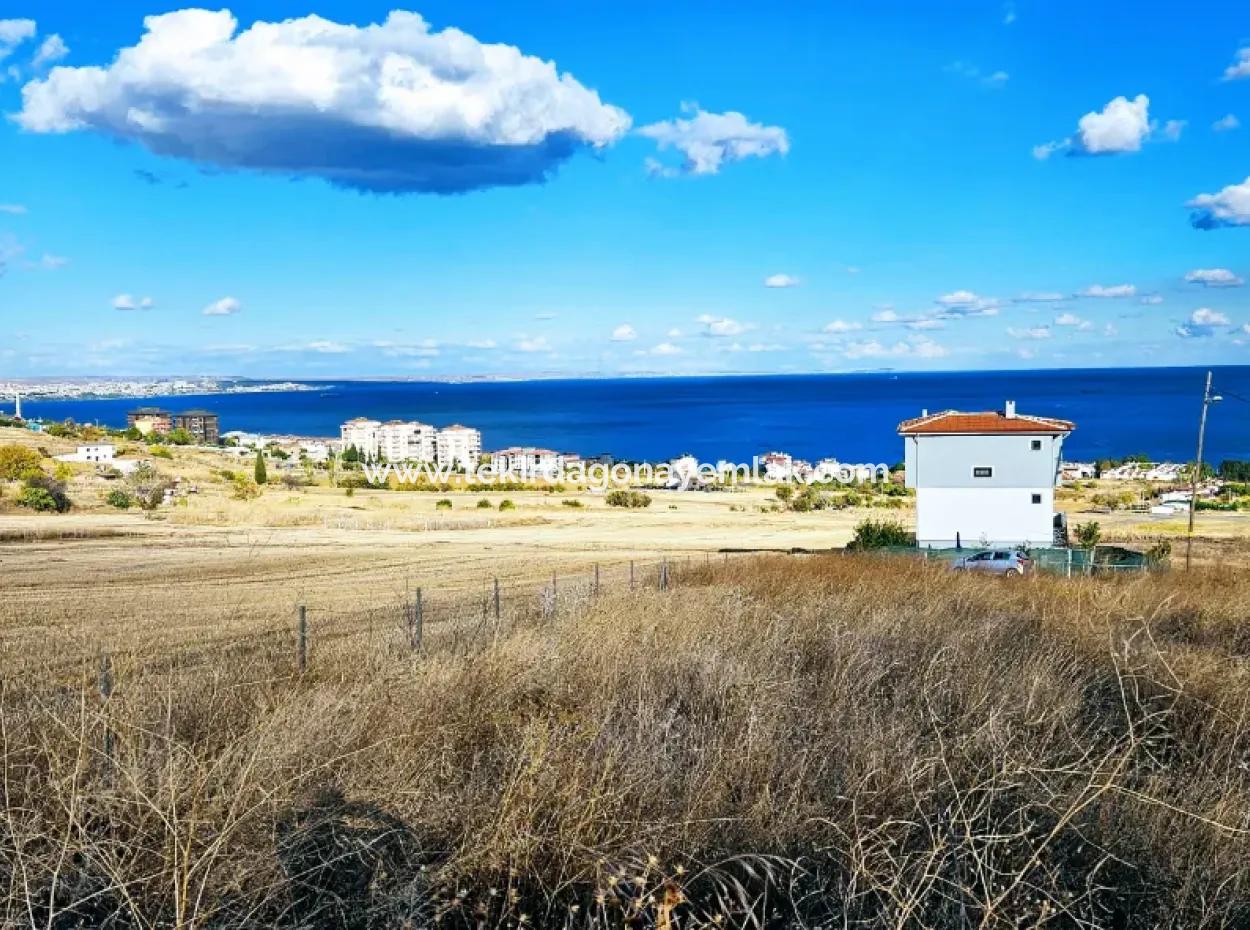 6 Apartment Opportunity Plot With Wonderful Sea View For Urgent Sale