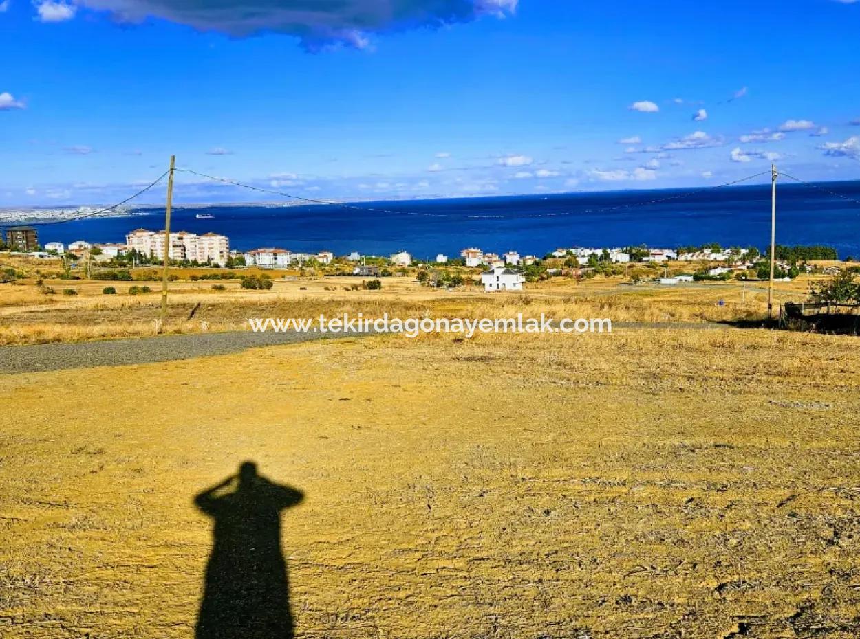 6 Apartment Opportunity Plot With Wonderful Sea View For Urgent Sale