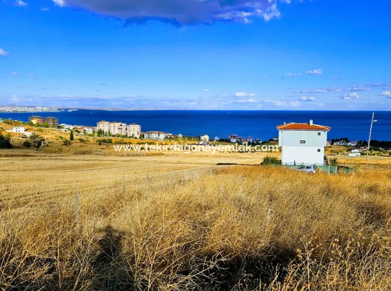 6 Apartment Opportunity Plot With Wonderful Sea View For Urgent Sale